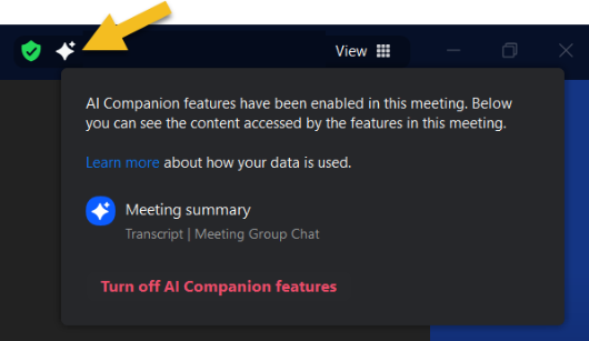 indicator showing currently in-use AI Companion features