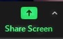 Zoom icon for screen sharing