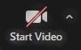 Zoom icon for starting video