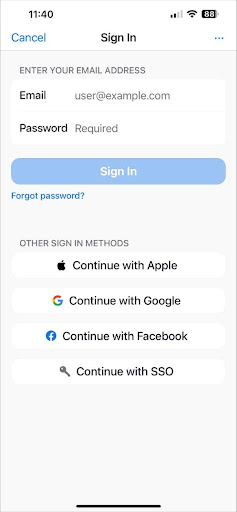 Sign in with SSO option
