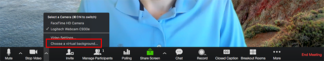 Image of settings for using a virtual background in zoom
