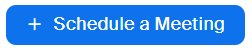 image of Zoom Schedule A Meeting button