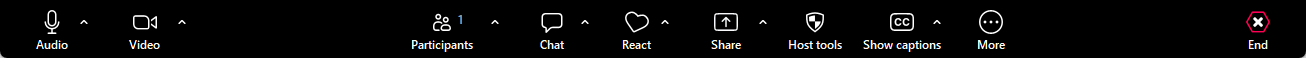 image of Zoom meeting toolbar
